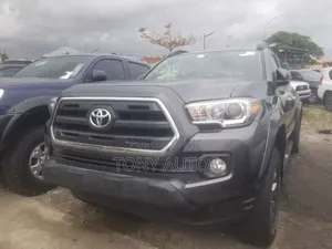 Toyota Tacoma 2017 Gray