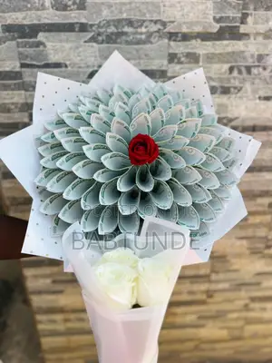 Surprise Planning