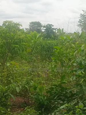 About 200 Acres of Land, for Sale, at #3,000,000 60 by 120 Per Plot