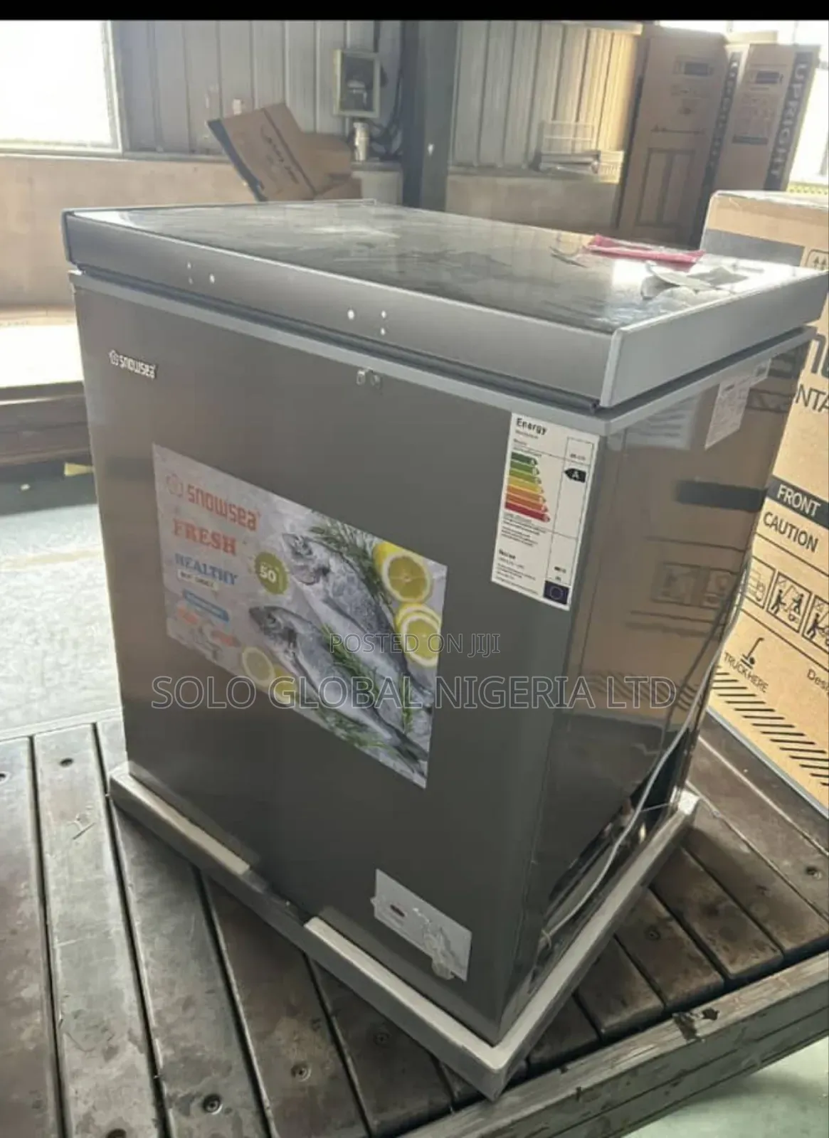 Snowsea Chess Freezer Model 208