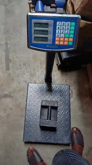 300kg Digital Platform Scale
