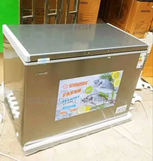 Snowsea Chess Freezer