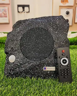 Kimberlys Outdoor Stone Speaker