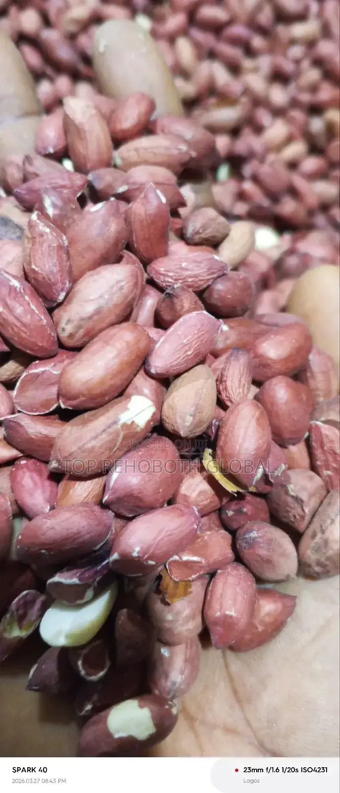 Rehoboth Groundnut