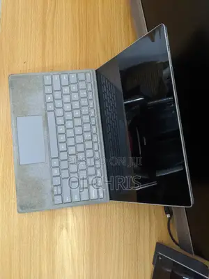 Microsoft Surface Pro 4 256 GB Gray