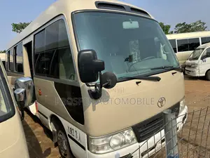 Toyota Coaster 2017 Brown