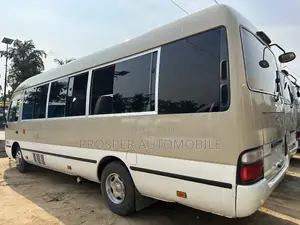 Toyota Coaster 2017 Brown