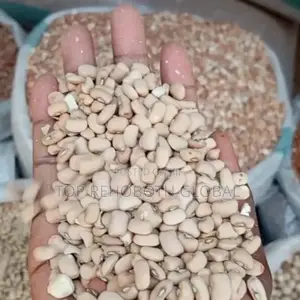Oloyin Beans / White Beans