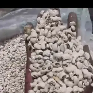 Oloyin Beans / White Beans
