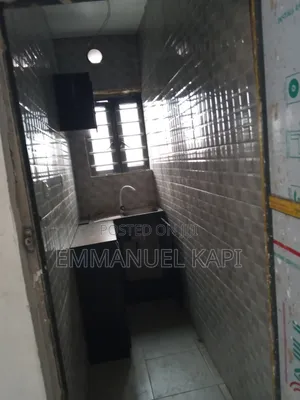 Furnished Mini Flat in New Garage Gbagada, Shomolu / Shomolu for rent