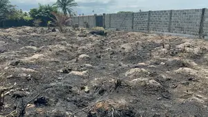 Prime Land in Lekki Town, Ibeju-Lekki