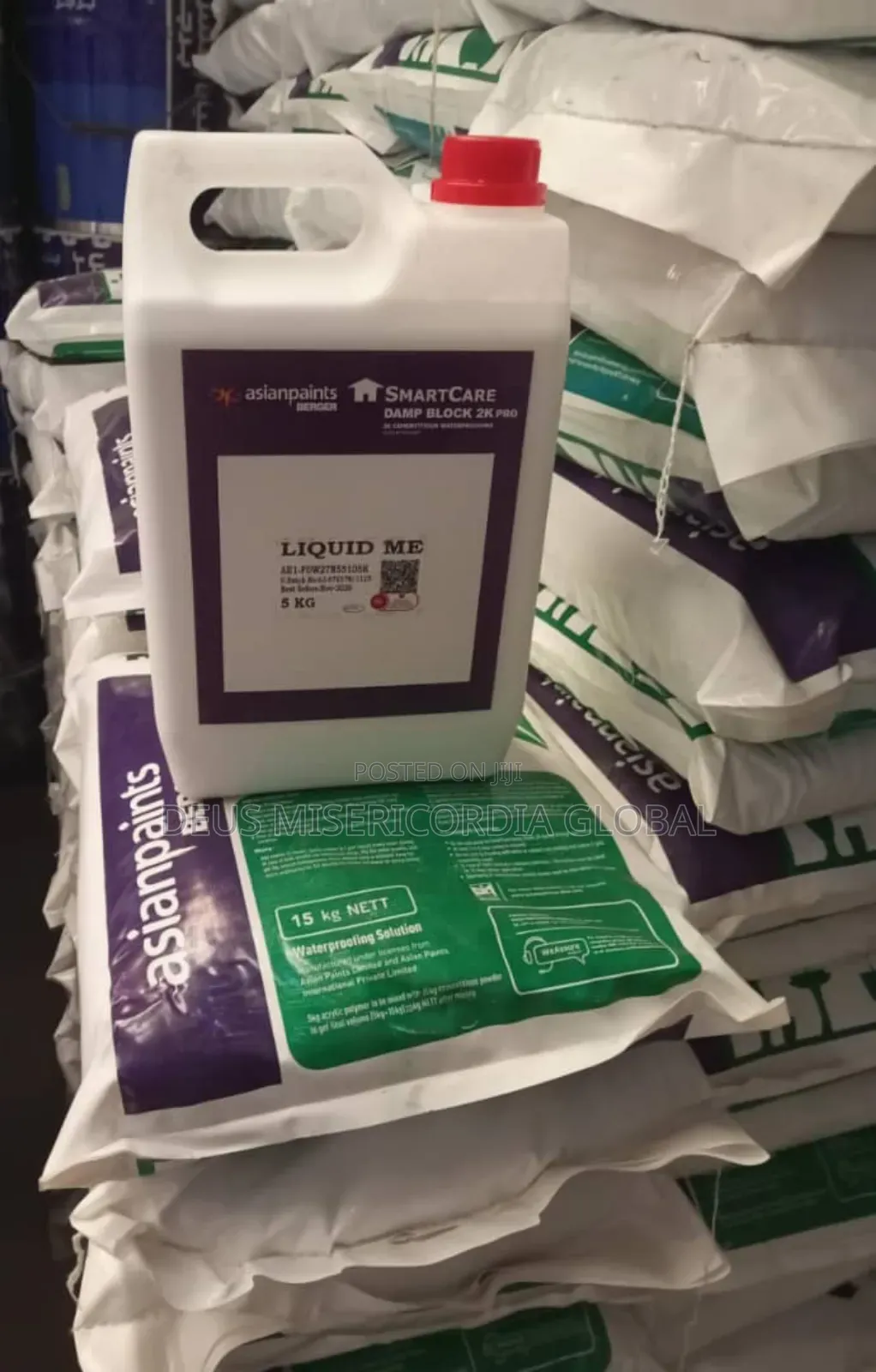 Smartcare Damp Block Pro