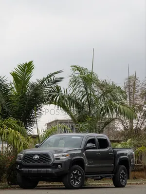 Toyota Tacoma 2020 Gray