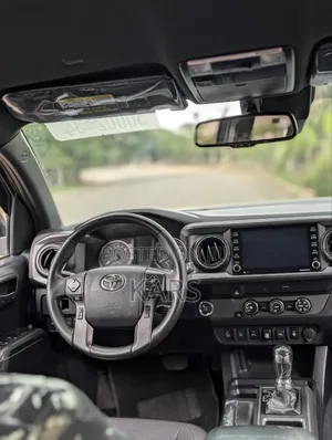 Toyota Tacoma 2020 Gray