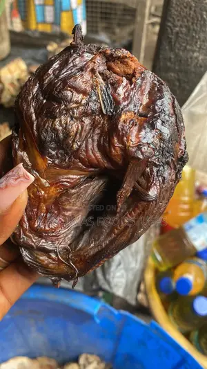 Jumbo Size Of Catfish