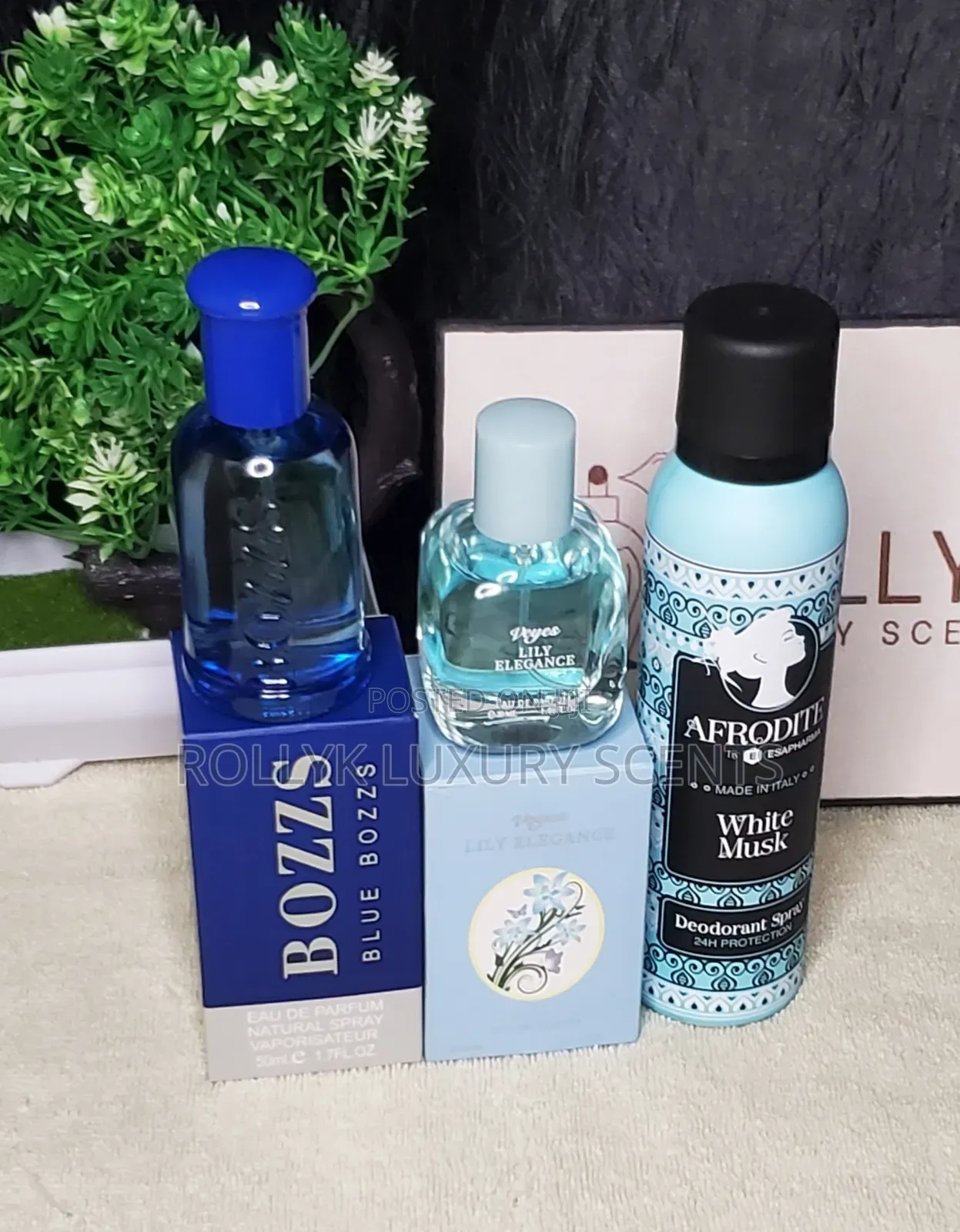Perfume Combo