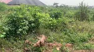 50ft by 100ft at Amagaba Community, Benin City