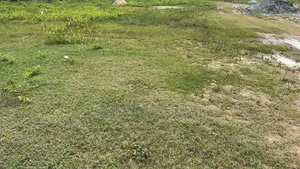Estate Plot of Land for Sale