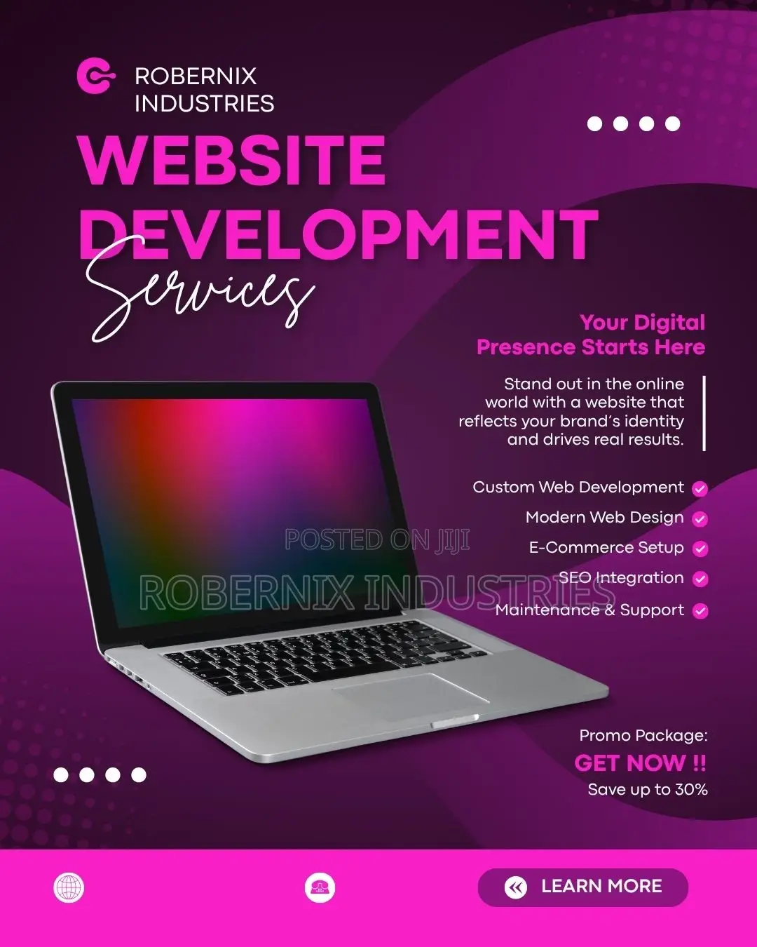 Professional Website Development