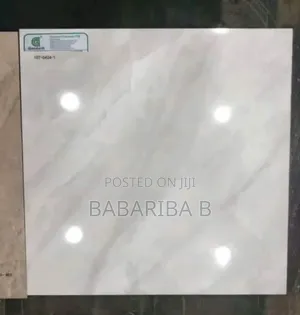 Good Nigerian Ceramic Tiles