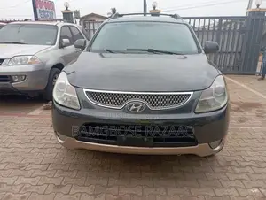 Hyundai Veracruz SE 2007 Gray