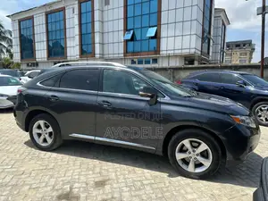 Lexus RX 350 2010 Gray