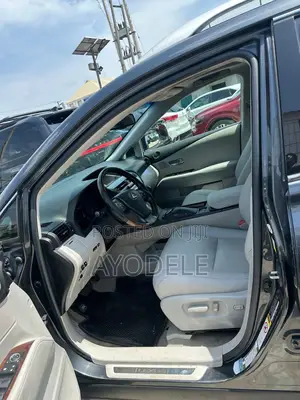 Lexus RX 350 2010 Gray