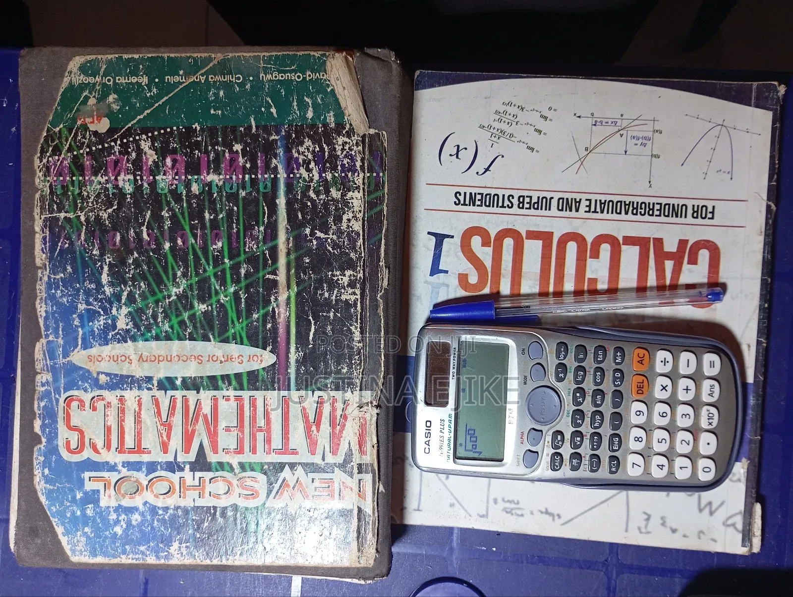 Mathematics and Further Mathematics Tutor
