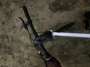 Adult Bicycle (Sports)