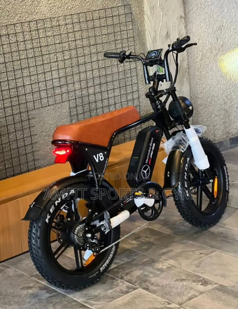 Electric Bike