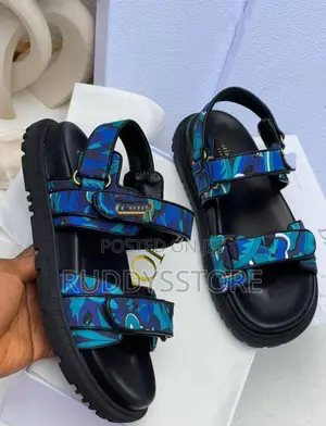 Luxury Dior Sandals