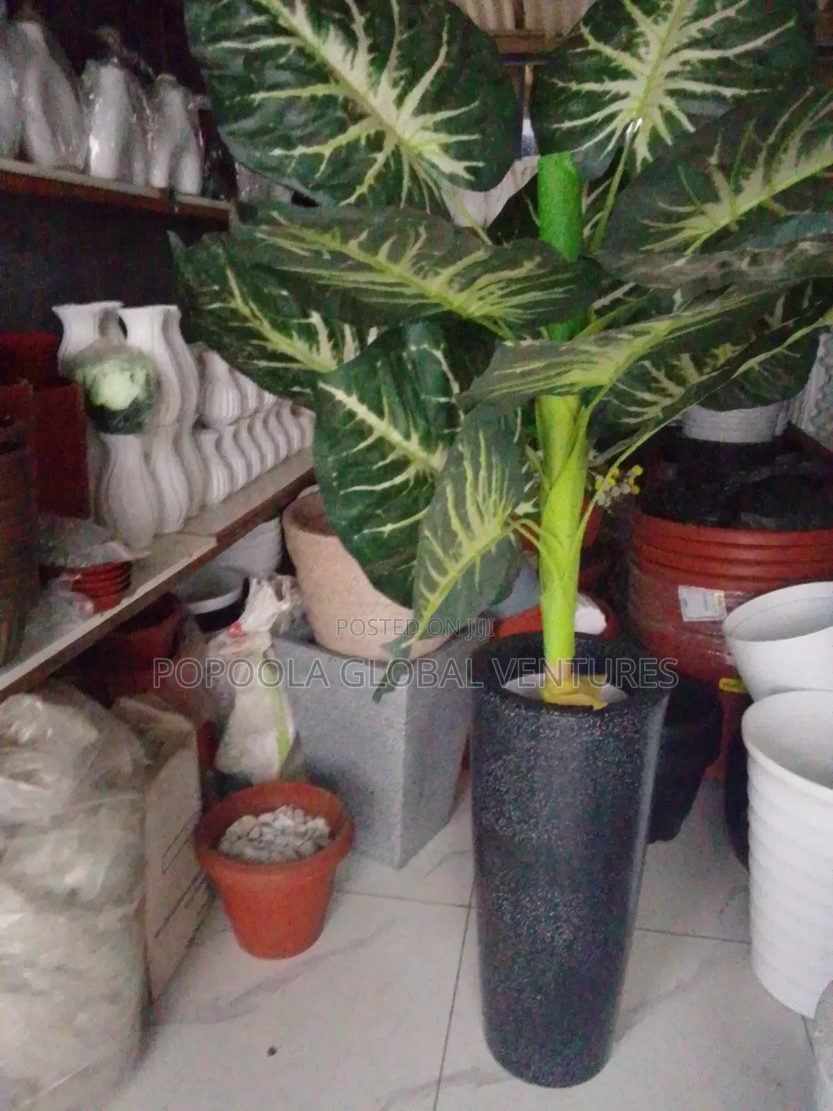 Flower Pot With Flower