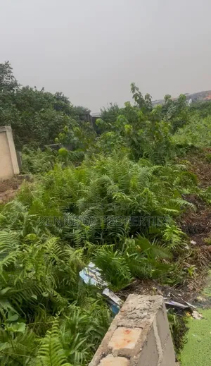 Swampy Lands for Sale at Alagbole, Berger