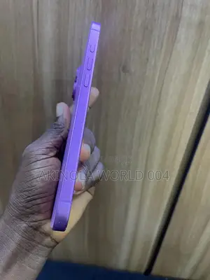 Apple iPhone 16 Plus 128 GB Pink