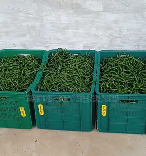 Chilli Pepper ( Min Order 40kg)