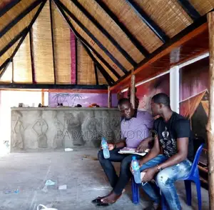 Thach , Gazebo, Bush Bar Ceilings Roping