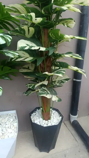 Premium Artificial Monstera Plant With Hexagonal Pot