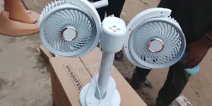 Double Head Fan