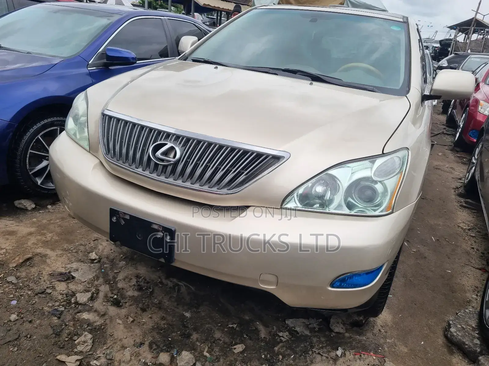 Lexus RX 330 2005 Gold