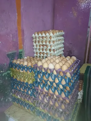 ZGV Farm Eggs