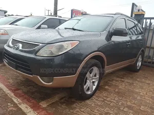 Hyundai Veracruz SE 2007 Gray