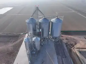 20tons Silo. The Interest of the Low Income Farmers Is Also Important.