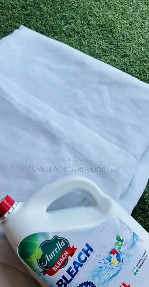 Bleach Cloth Stain Remover
