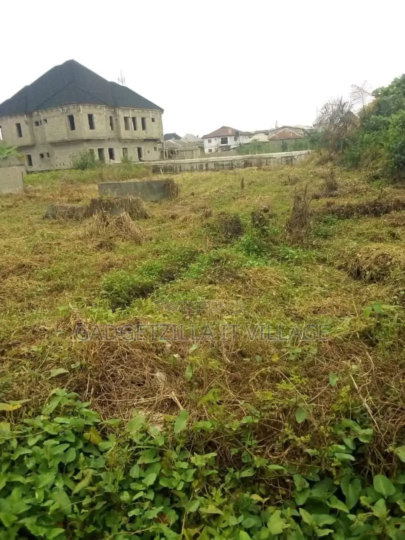 Full Plot at Festac Phase 2