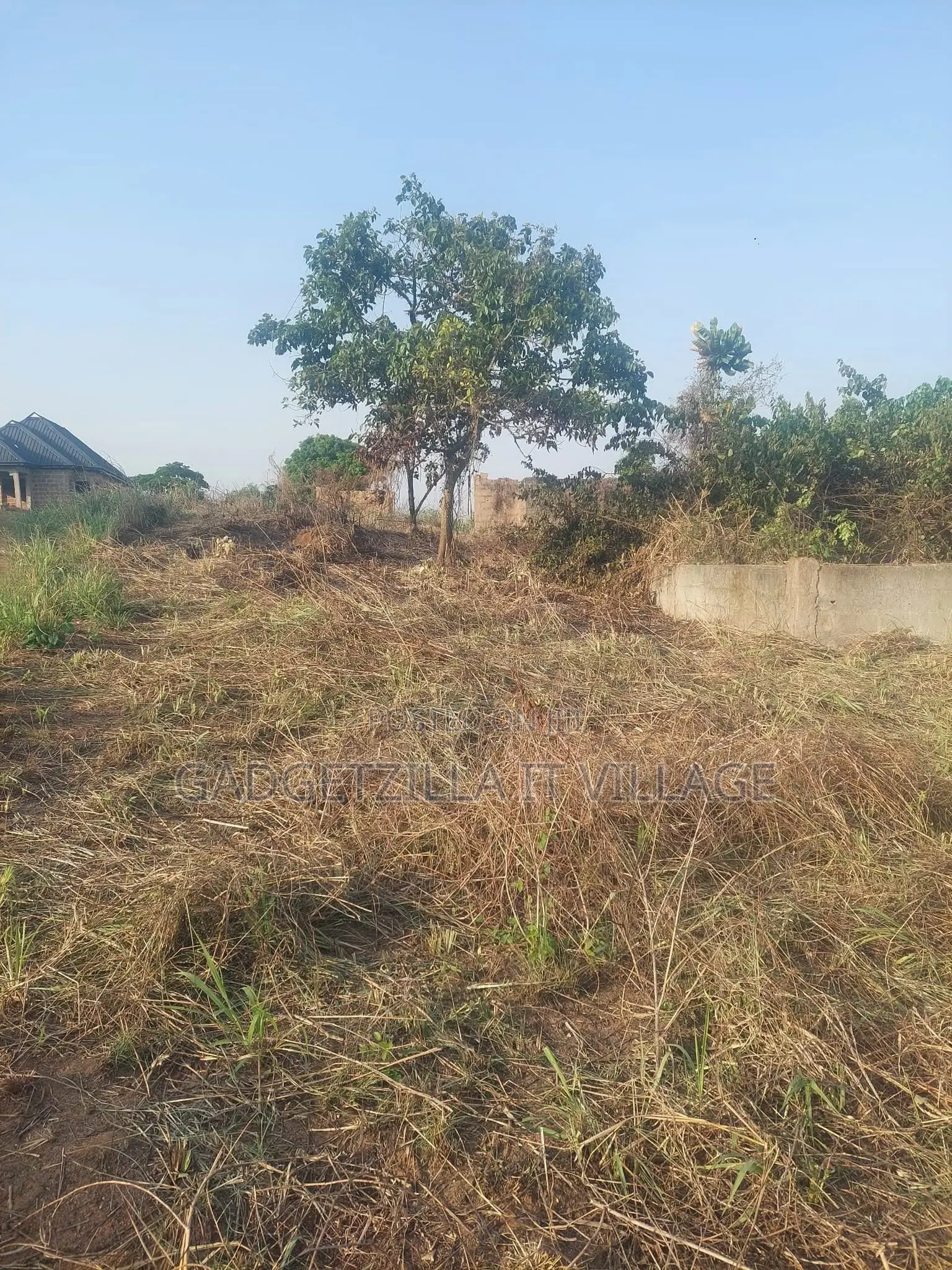 Full Plot at Festac Phase 2