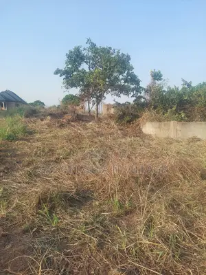Full Plot at Festac Phase 2