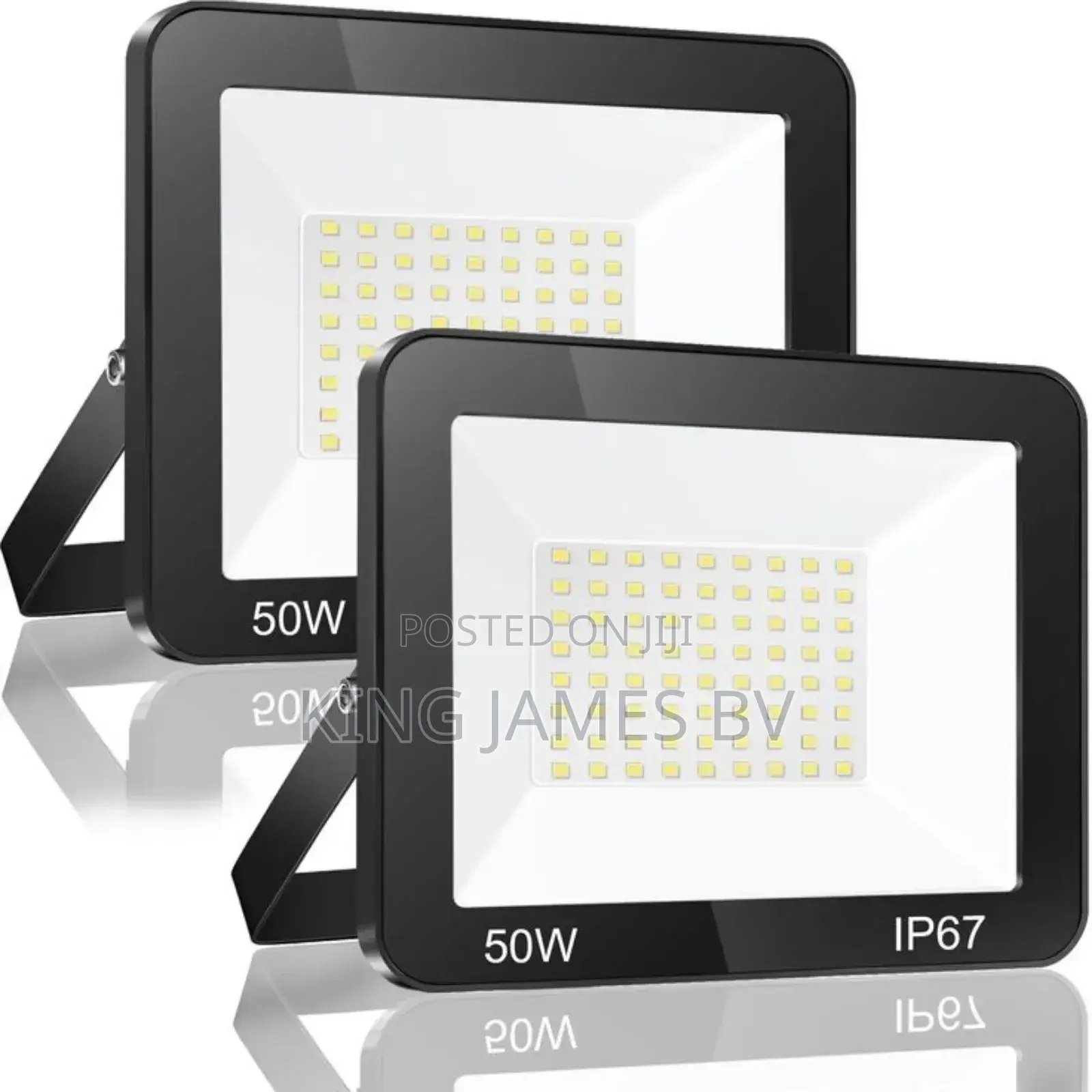 Electric Flood Light