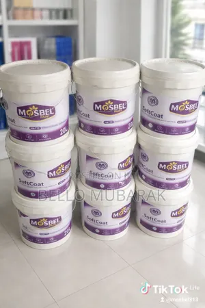 High Quality Emulsion Paint Smooth and Durable