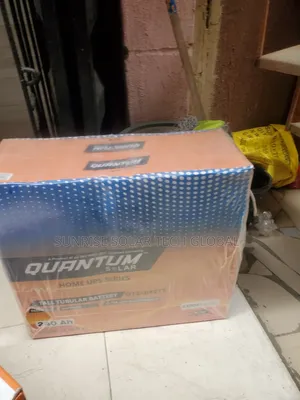 Quantum Tall Tubular Battery12v