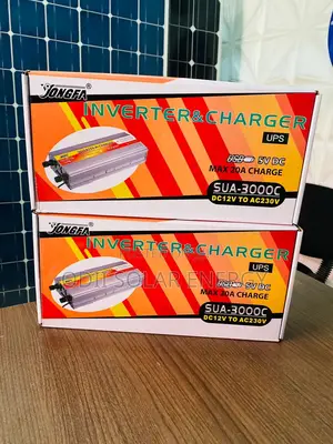 3000w Sachet Inverter With Charger